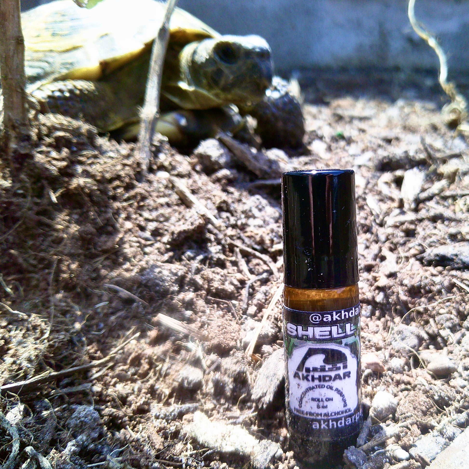 Shell v2 For Men - Perfume Oil (5 mL Roll-On)