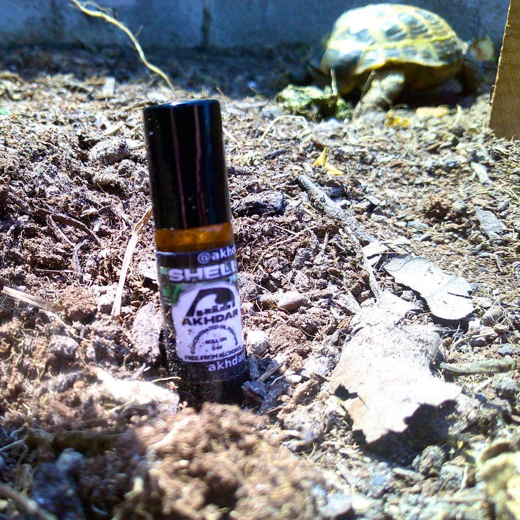 Shell v2 For Men - Perfume Oil (5 mL Roll-On)