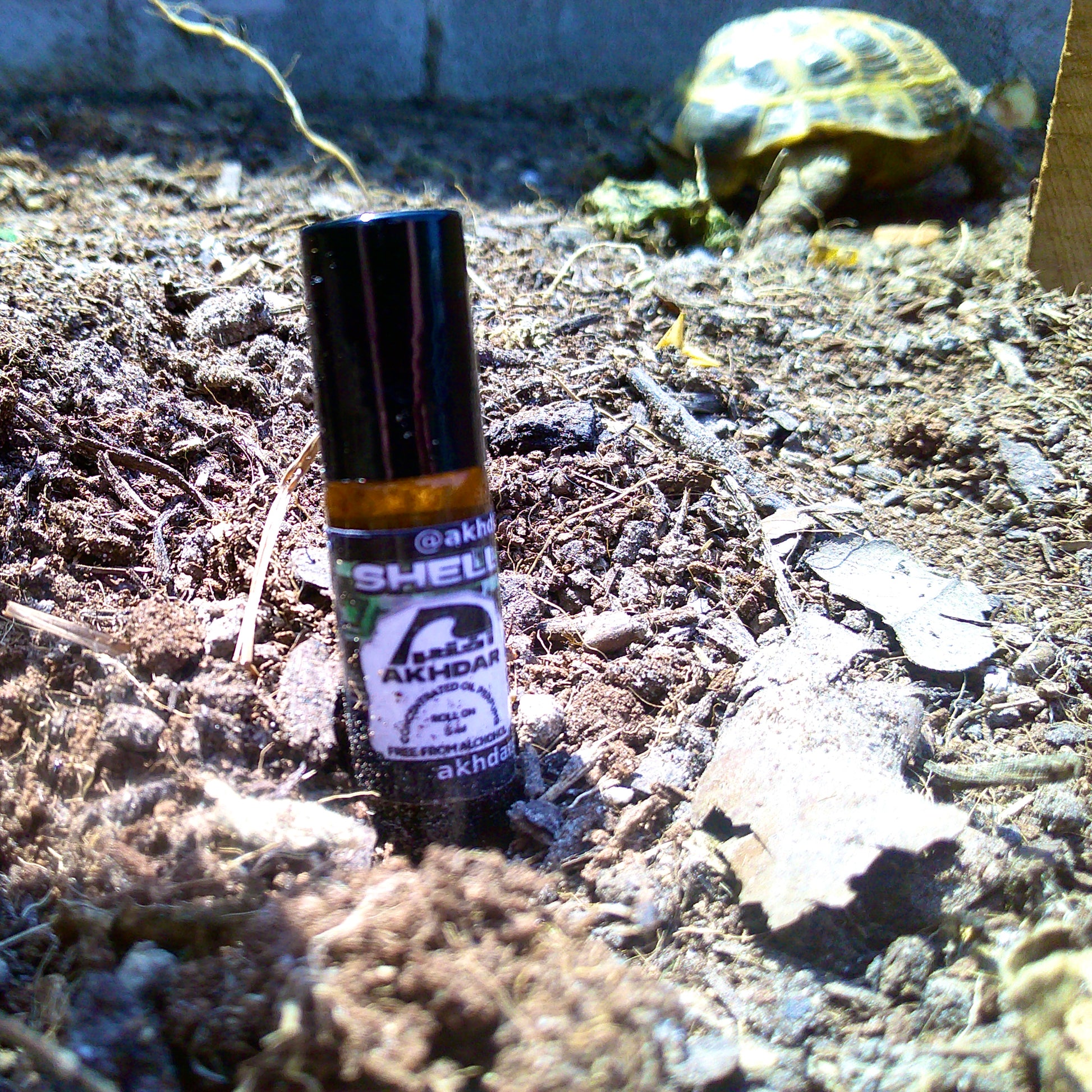 Shell v2 For Men - Perfume Oil (5 mL Roll-On)