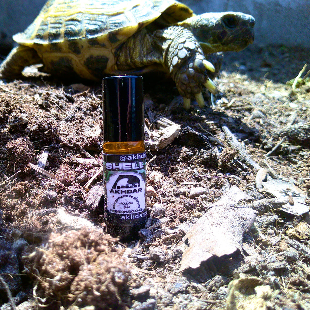 Shell v2 For Men - Perfume Oil (5 mL Roll-On)