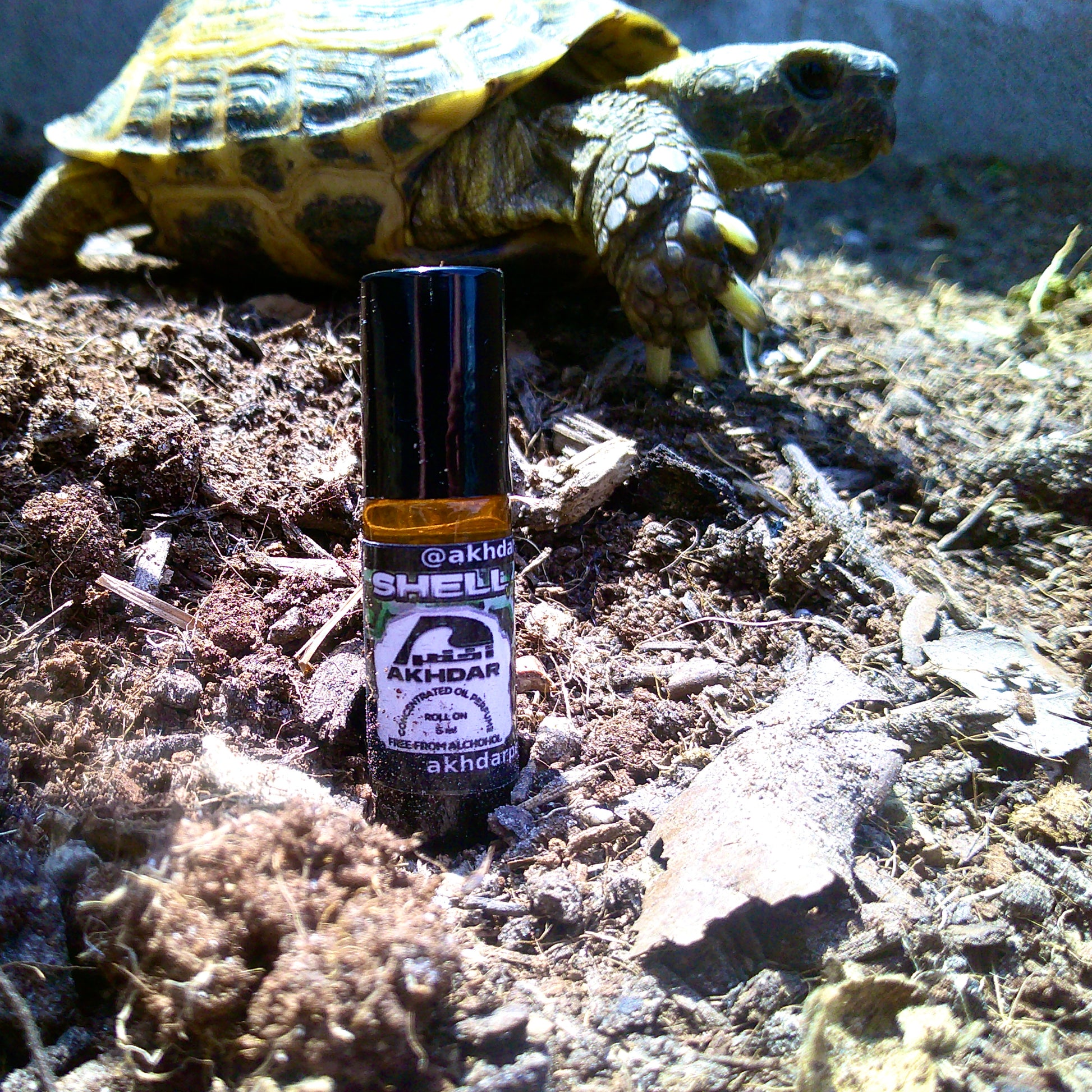 Shell v2 For Men - Perfume Oil (5 mL Roll-On)
