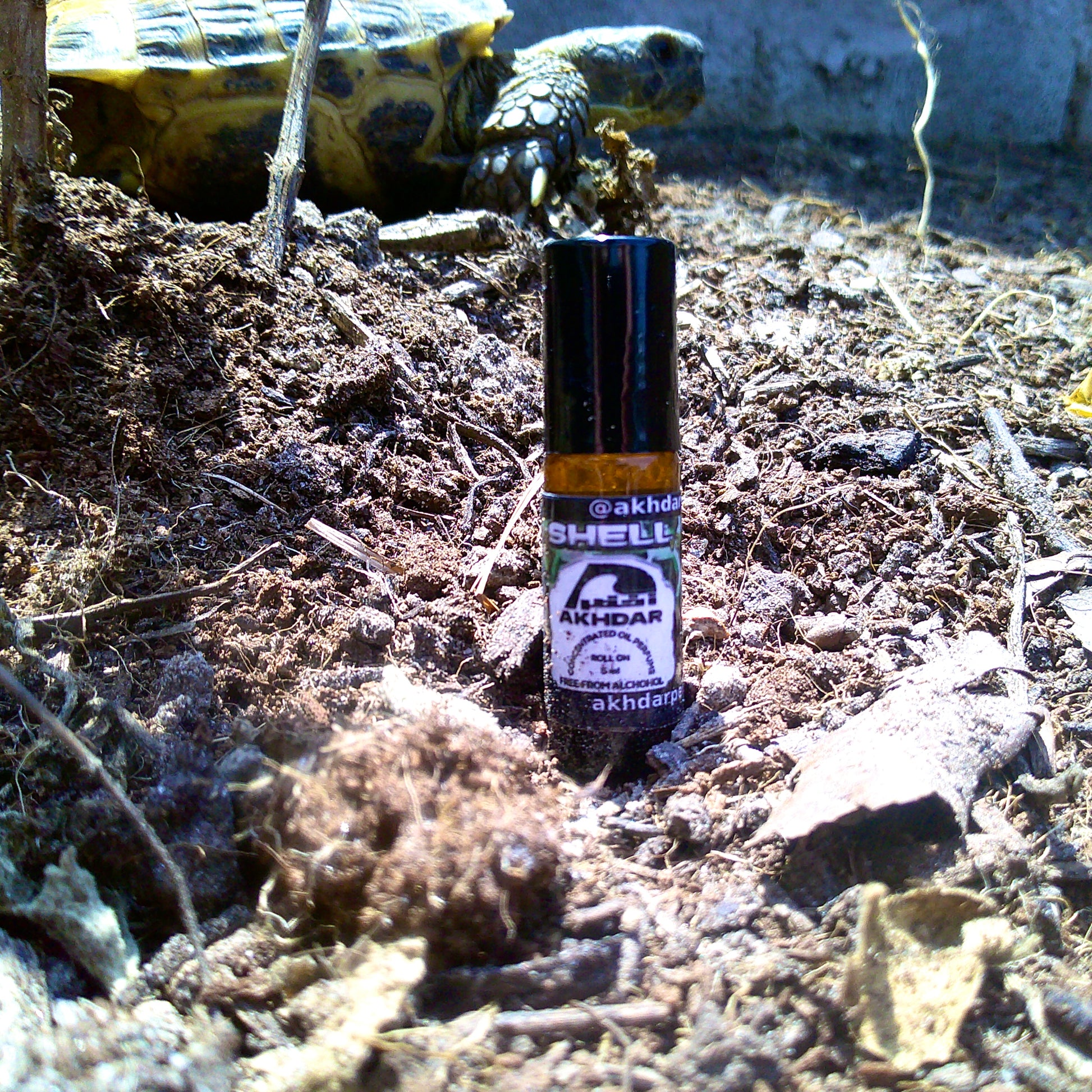 Shell v2 For Men - Perfume Oil (5 mL Roll-On)